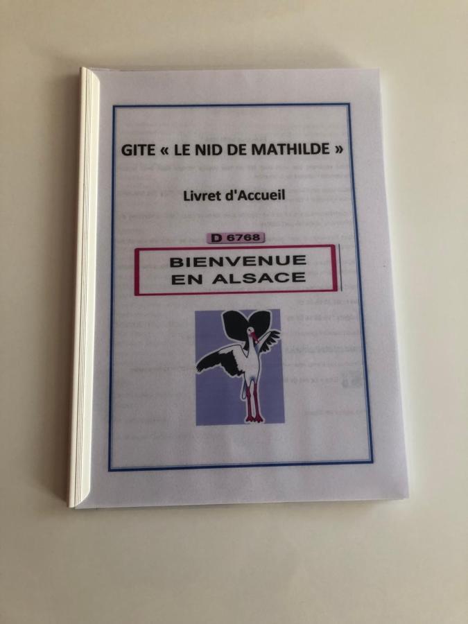 科尔马Le Nid De Mathilde- 3 Etoiles公寓 外观 照片